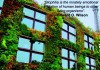 Biophilic Design (ตอนที่ 1)