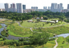 Biophilic Design