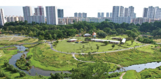 Biophilic Design