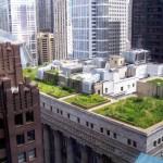Greenroof1