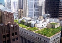 Green Roof