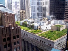 Green Roof