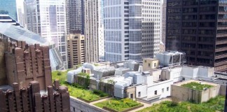 Green Roof