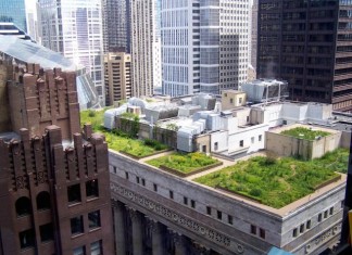 Green Roof