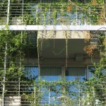 Mario-Cito-LEED-Seeking-Palo-Santo-Hotel-Buenos-Aires-22-1020×610 (1)