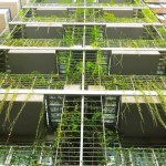 Mario-Cito-LEED-Seeking-Palo-Santo-Hotel-Buenos-Aires-3-1020×610