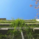 Mario-Cito-LEED-Seeking-Palo-Santo-Hotel-Buenos-Aires-4-1020×610
