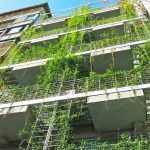 Mario-Cito-LEED-Seeking-Palo-Santo-Hotel-Buenos-Aires-lead-889×655