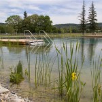 Naturbad-Riehen-Complete-Herzog-de-Meuron-13