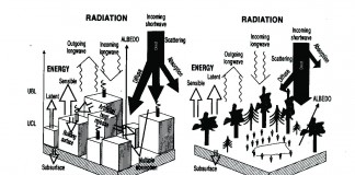 Heat Island
