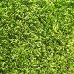 grass-clipping-solar-panel