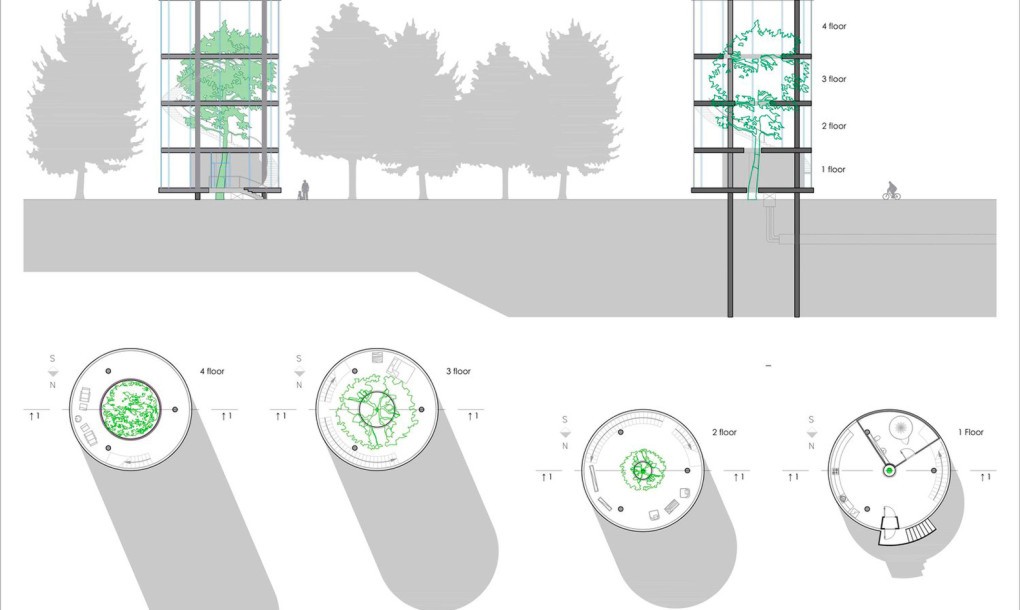 A-Masow-Glass-Treehouse-3-1020x610