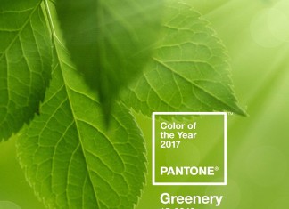pantone