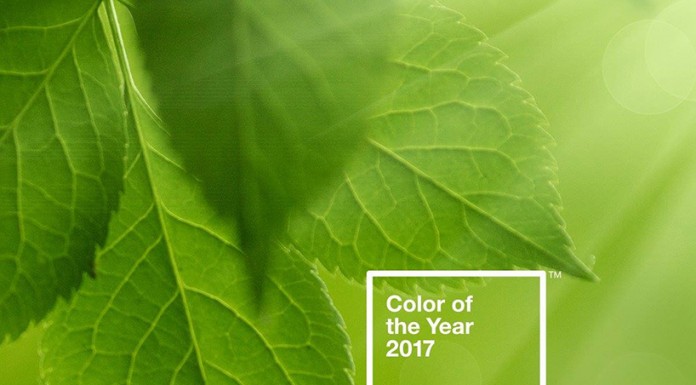 Pantone เลือกสีเขียว ‘GREENERY’ เป็น ‘Color of The Year’ ปี 2017 pantone