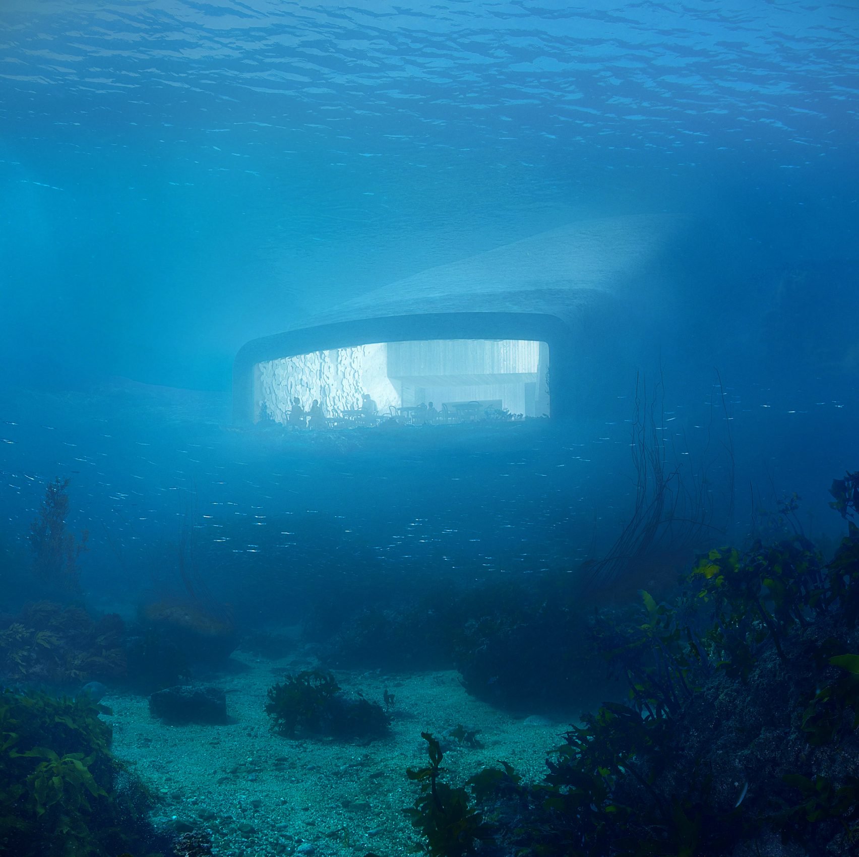 underwater 5