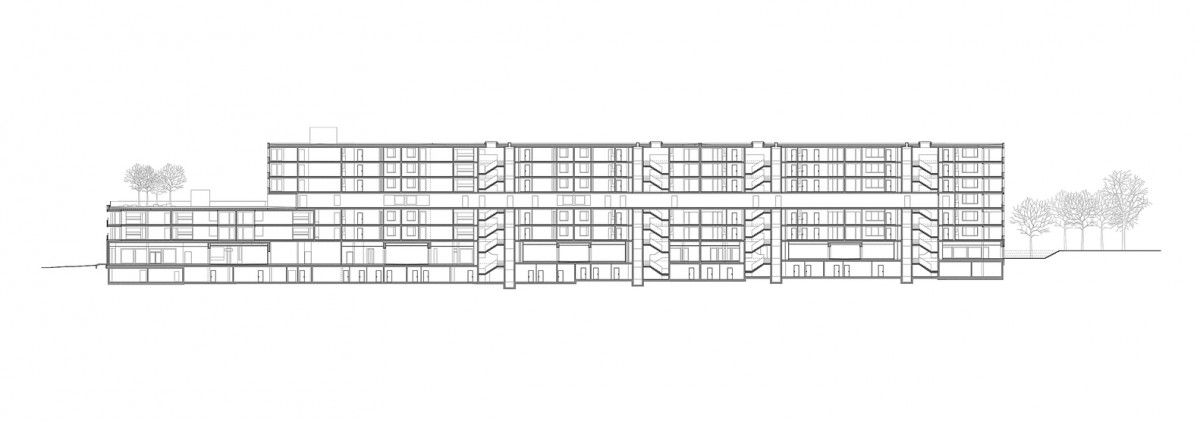 21_EM2N_Housing_Greencity_Baufeld_A1_Longitudinal_section_©EM2N_2880px_web