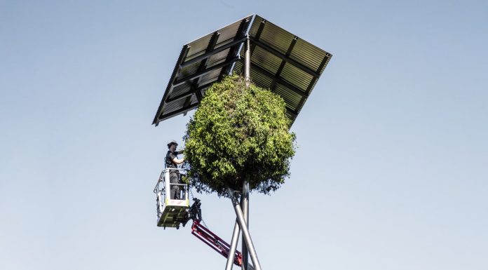 ต้น Mistletoe ยักษ์สร้างจากเหล็กสูง 18 นิ้ว บ้านจัดสรรนกหลังใหญ่ ในสวิตเซอร์แลนด์