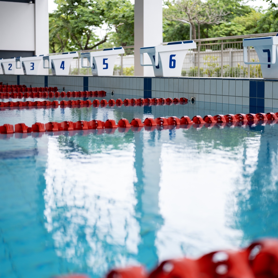 Swimming Pool3