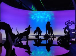 ดิ่งสู่ห้วงแห่งความฝันไปกับนิทรรศการ Dreamscape Experience ในงาน BKKDW2020