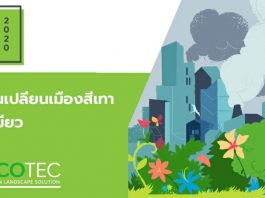 ดีวันซิสเต็ม เปิดม่านโครงการเพื่อสิ่งแวดล้อม “GREY TO GREEN 2020”เปลี่ยนคอนกรีตเป็นพื้นที่สีเขียว