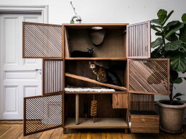 แมวของฉันต้องอยู่สุขสบาย The Cat Flat บ้านตู้กับข้าวที่นักจิตวิทยาแมวแนะนำ