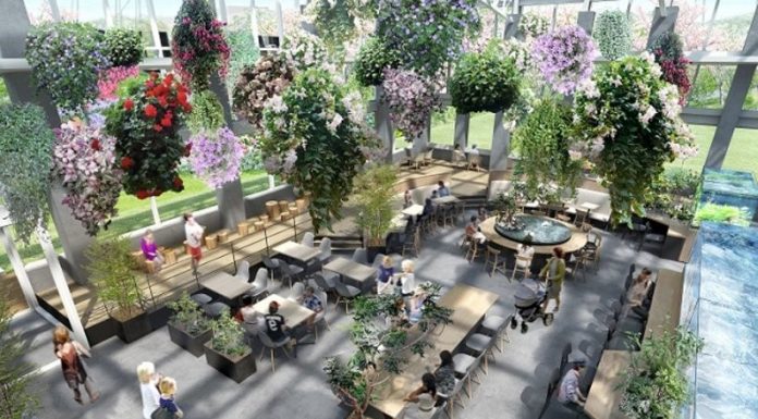 สตาร์บัคส์ผุดไอเดียร้านกาแฟแบบเรือนกระจก จัดเต็มการแสดง Installation แสงสีแบบดิจิทัล