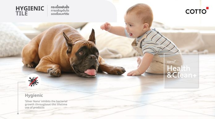 ไฮจินิก ไทล์ (Hygienic Tile) กระเบื้องสำหรับวิถีชีวิตใหม่จากคอตโต้