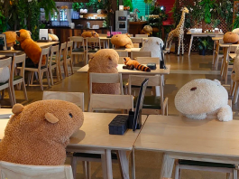 ห่างอย่างห่วง ๆ แวะดู 4 วิธีเว้นระยะและนวัตกรรมช่วงโควิดจากมุมต่าง ๆ ของโลกชวนอมยิ้ม