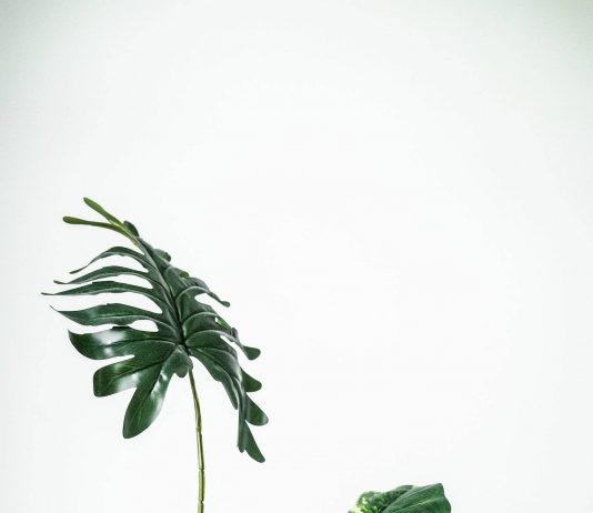 ส่อง HASHTAG 7 ไอเทมของแต่งบ้านสุดป๊อป ใน IG ปี 2020