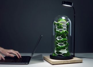Chloroplast