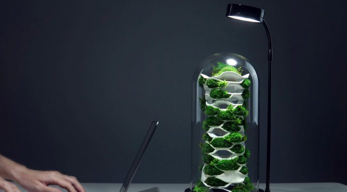 The Chloroplast สวนแนวตั้งย่อส่วน ที่รวมศาสตร์ของ ประติมากรรม ธรรมชาติ และ สถาปัตย์ เข้าไว้ด้วยกัน Chloroplast