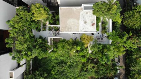 shma-company-forest-house-bangkok-designboom-11