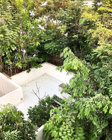 shma-company-forest-house-bangkok-designboom-2