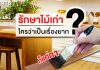 รักษาไม้เก่า ใครว่าเป็นเรื่องยาก?