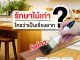 รักษาไม้เก่า ใครว่าเป็นเรื่องยาก?