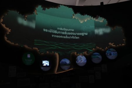 DSCF5404