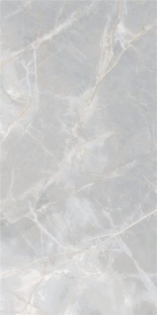 CV157504-06