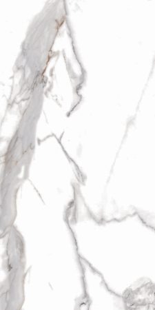 JS715605-6