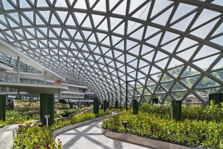 center-of-excellence-for-forest-conservation-architects-49_1