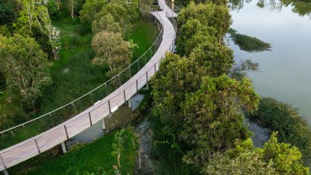 center-of-excellence-for-forest-conservation-architects-49_4