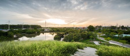 center-of-excellence-for-forest-conservation-architects-49_7