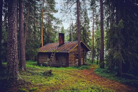 messageImage_1691132038908
