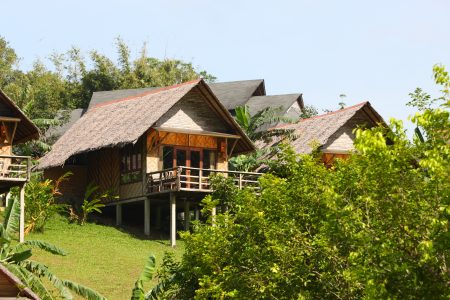 thatch roof